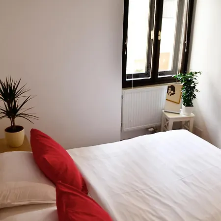 Apartment In Center