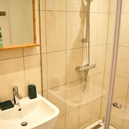 Apartment In Center *